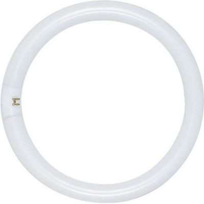 22W T9 G10q Circline Fluorescent 3000K Bulb by SATCO Lighting - Starlight Lighting USA and Canada